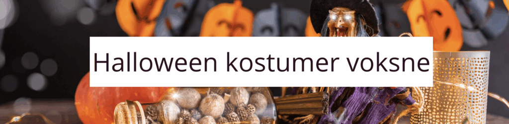 halloween kostumer voksne
