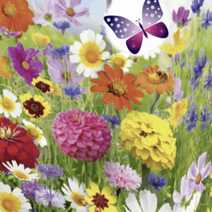 Blomsterfrø - indflyttergave til haven